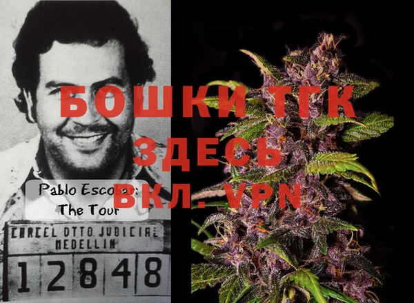 Альфа ПВП Новодвинск