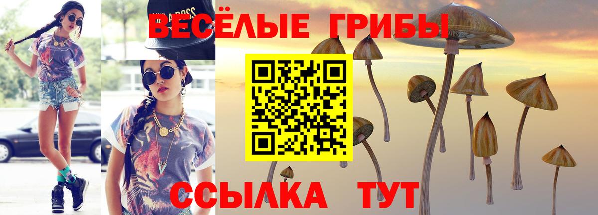 Псилоцибиновые грибы Cubensis Реутов