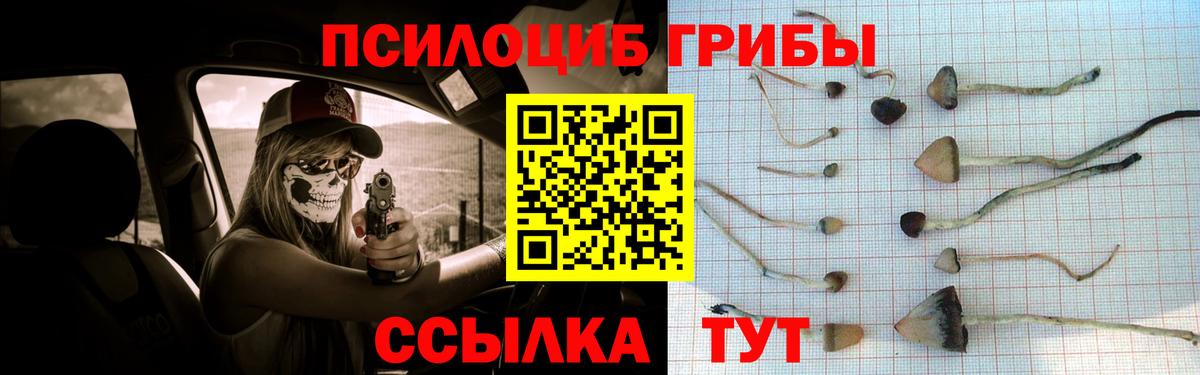 Галлюциногенные грибы прущие грибы  Вход с VPN  купить  цена  Реутов 