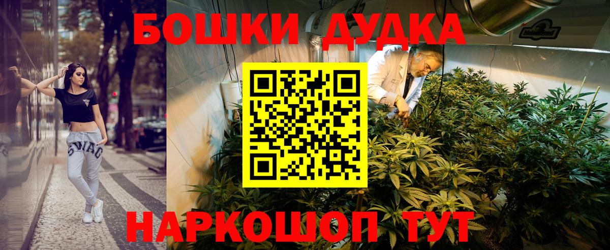 Каннабис White Widow  МАРИХУАНА план  Реутов 